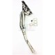 E30-318IS COLLECTEUR INOX POUR M42