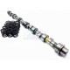 AAC SHRICK MOTEUR M10 292deg a partir du 09/10