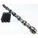 AAC SHRICK MOTEUR M10 292deg a partir du 09/10