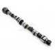 AAC SCHRICK MOTEUR M10 292deg jusqu'au 09/80