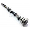 AAC SCHRICK MOTEUR M10 292deg jusqu'au 09/80