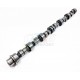 AAC SHRICK MOTEUR M10 292deg a partir du 09/10
