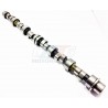 AAC SHRICK MOTEUR M10 292deg a partir du 09/10
