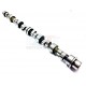 AAC SHRICK MOTEUR M10 292deg a partir du 09/10