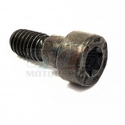 M52TU M54 M56 VIS DE VANOS 11-36-1-748-745 BMW ORIGINE