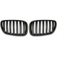 X5 99-03 CALANDRE BLACK