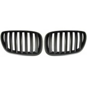 X5 99-03 CALANDRE BLACK