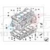 BLOC MOTEUR AVEC PISTONS 320si VF71 N45