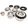 TYP 215L KIT SERVICE PACK PONT ZF BMW ROULEMENT JOINT E87 E82 E88 E90 E91 E92 E93 E84 E70 E63 E64 E60 E61