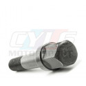 VIS DE VILEBREQUIN POULIE DAMPER 11211720633 BMW ORIGINE 11211720633 11-21-1-720-633 11 21 1 720 633 11.21.1.720.633