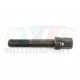 VIS DE VILEBREQUIN POULIE DAMPER 11211720633 BMW ORIGINE 11211720633 11-21-1-720-633 11 21 1 720 633 11.21.1.720.633