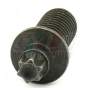 Vis de Rupture pour Blocage de Direction Neiman – BMW Origine 32311157967 32311113716