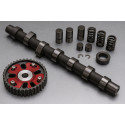 Arbres à cames + accessoires BMW E21
